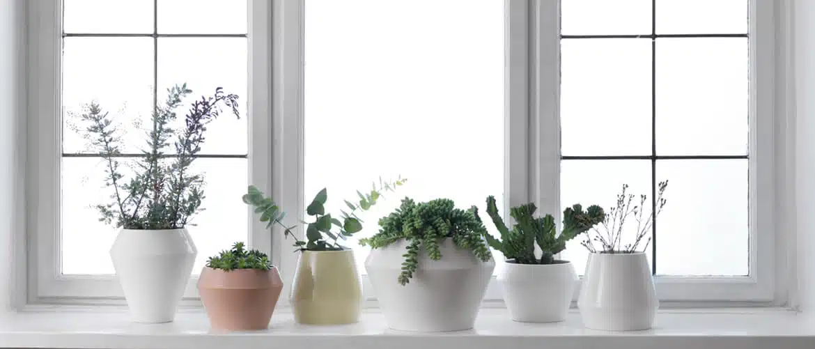 Fensterdekoration Trends 2016