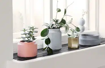 Deko Fenster