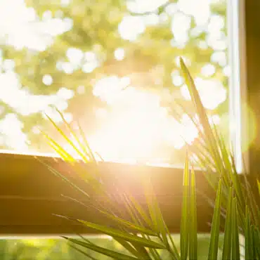 Wintergärten - Sonnenschein - Fenster Sonnenschein