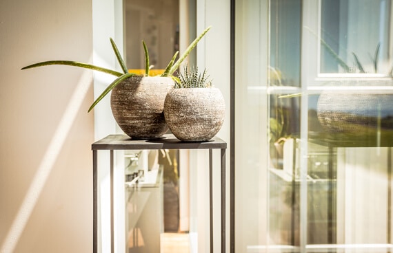 Fensterschmuck und dekorative Elemente tragen wesentlich zur individuellen Gestaltung eines Raumes bei. Besonders im Herbst bieten saisonale Naturmaterialien vielfältige Möglichkeiten, um Fensterbereiche optisch ansprechend und wohnlich zu gestalten. Durch den gezielten Einsatz von Lichtquellen, Texturen und jahreszeitlich abgestimmten Objekten lässt sich eine harmonische und behagliche Atmosphäre schaffen, die das Wohlbefinden im Innenraum steigert.