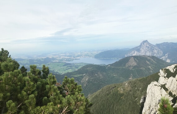Ein beeindruckender Panoramablick vom Feuerkogel zeigt dichte Wälder, steile Felsen und den Traunsee in der Ferne. Die Schmidinger-Wandergruppe genießt den Moment – Natur, Weitblick und „Schöne Aussichten“ pur.