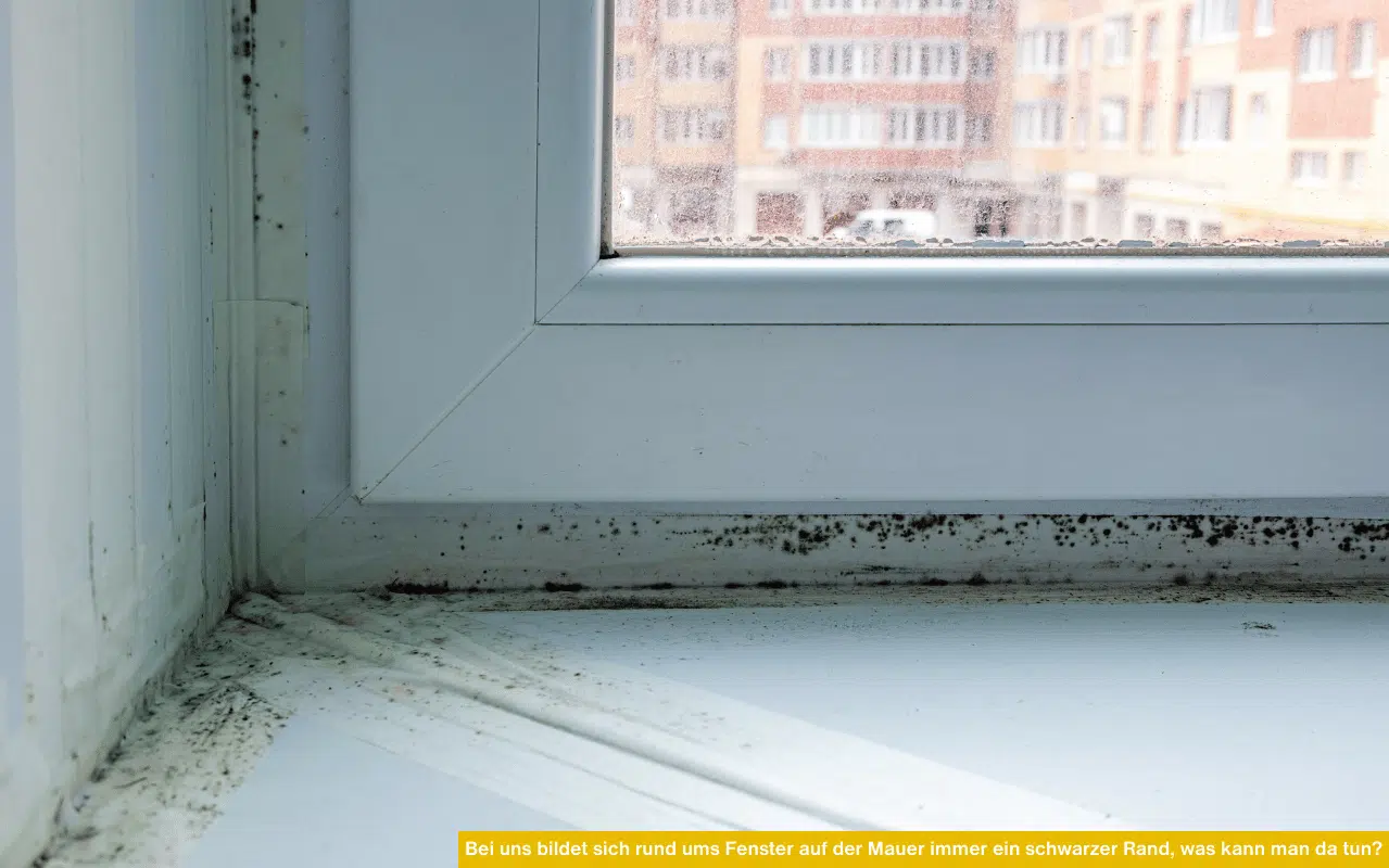 Bei uns bildet sich rund ums Fenster auf der Mauer immer ein schwarzer Rand, was kann man da tun?