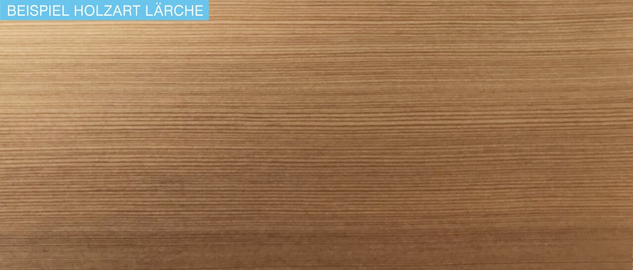 Beispiel Holzart Lärche bei Fenster