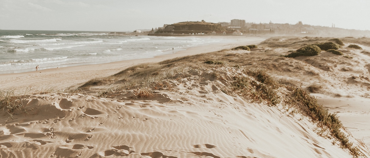 Sonnenbeschienene Dünen am Strand mit Meer im Hintergrund, ein ruhiges Urlaubsbild passend zur Ankündigung des Betriebsurlaubs.