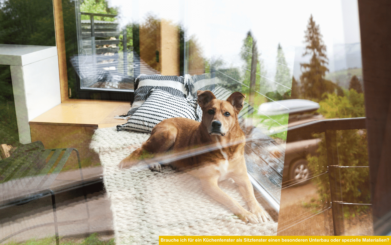 Ein Hund liegt entspannt auf einem gepolsterten Sitzfensterplatz mit Kissen und Blick ins Grüne durch ein großes Küchenfenster.