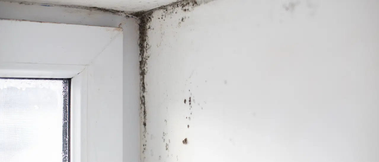 Fenster in der Mietwohnung undicht - Geben Sie dem Mieter umgehend Bescheid