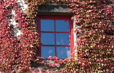 Fenster in RAL 3005 Weinrot – klassischer Rotton mit kräftiger, eleganter Wirkung, ideal für traditionelle oder sanierte Gebäude.