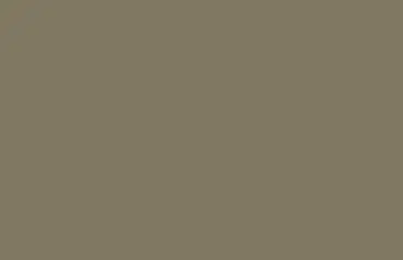 Das Bild zeigt den Farbton RAL 7002 Olivgrau als gleichmäßige Fläche. Diese edle Farbe mit grünlich-grauer Note wird häufig für Fenster und Türen genutzt, um Gebäude modern und natürlich wirken zu lassen.
