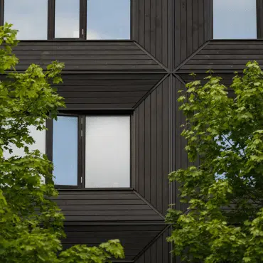 Fenster in RAL 8022 Schwarzbraun in dunkler Holzfassade mit moderner Linienführung, umrahmt von grünen Baumkronen im Vordergrund