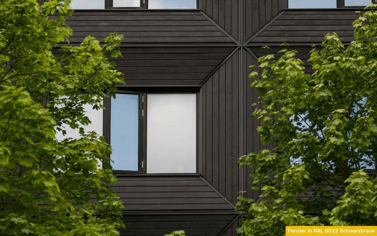 Fenster in RAL 8022 Schwarzbraun in moderner dunkler Holzfassade, teilweise verdeckt von grünem Laub zweier Bäume vor dem Gebäude