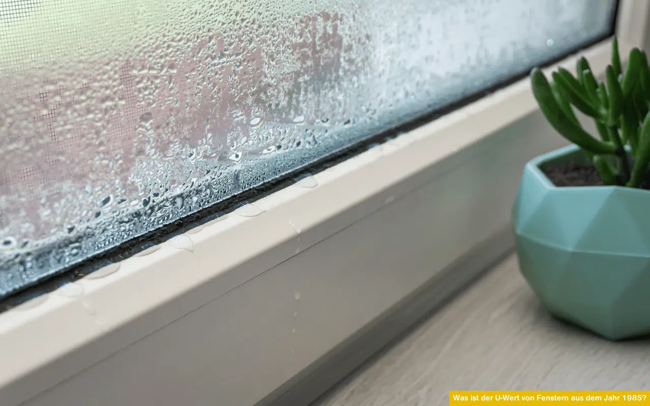 Fenster mit Kondenswasser an der Innenscheibe Was ist der U-Wert von Fenstern aus dem Jahr 1985.