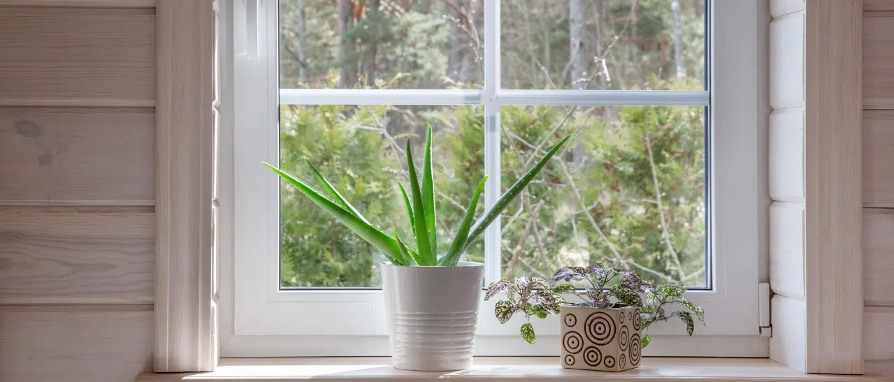 Fenster mit Sprossen im Glaszwischenraum sorgt für elegante Optik und pflegeleichte Reinigung ohne störende äußere Sprossen.