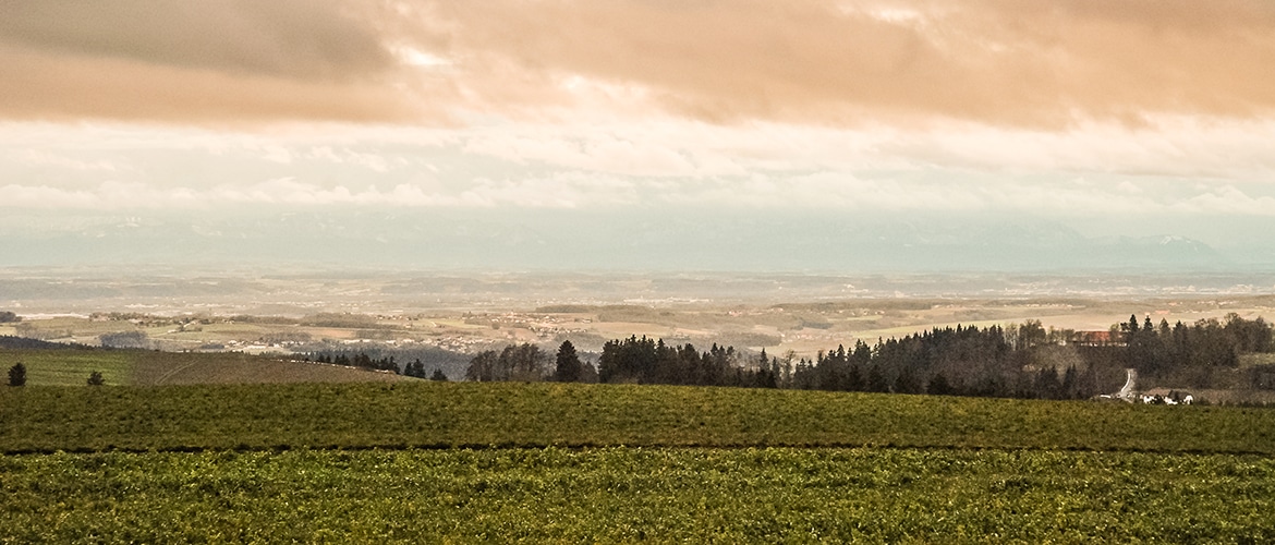 Fenster Schmidinger Ausblick Natur