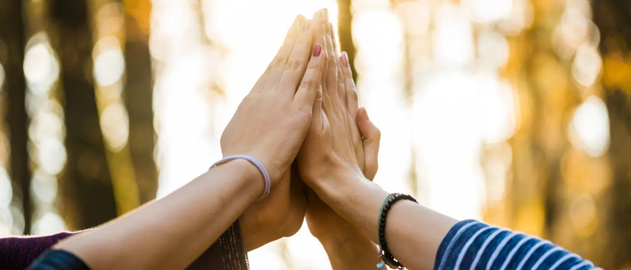 Mehrere Hände treffen sich zum High-Five, um die Nähe zu lokalen Firmen und die Wichtigkeit energieeffizienter Fenster zu unterstreichen.
