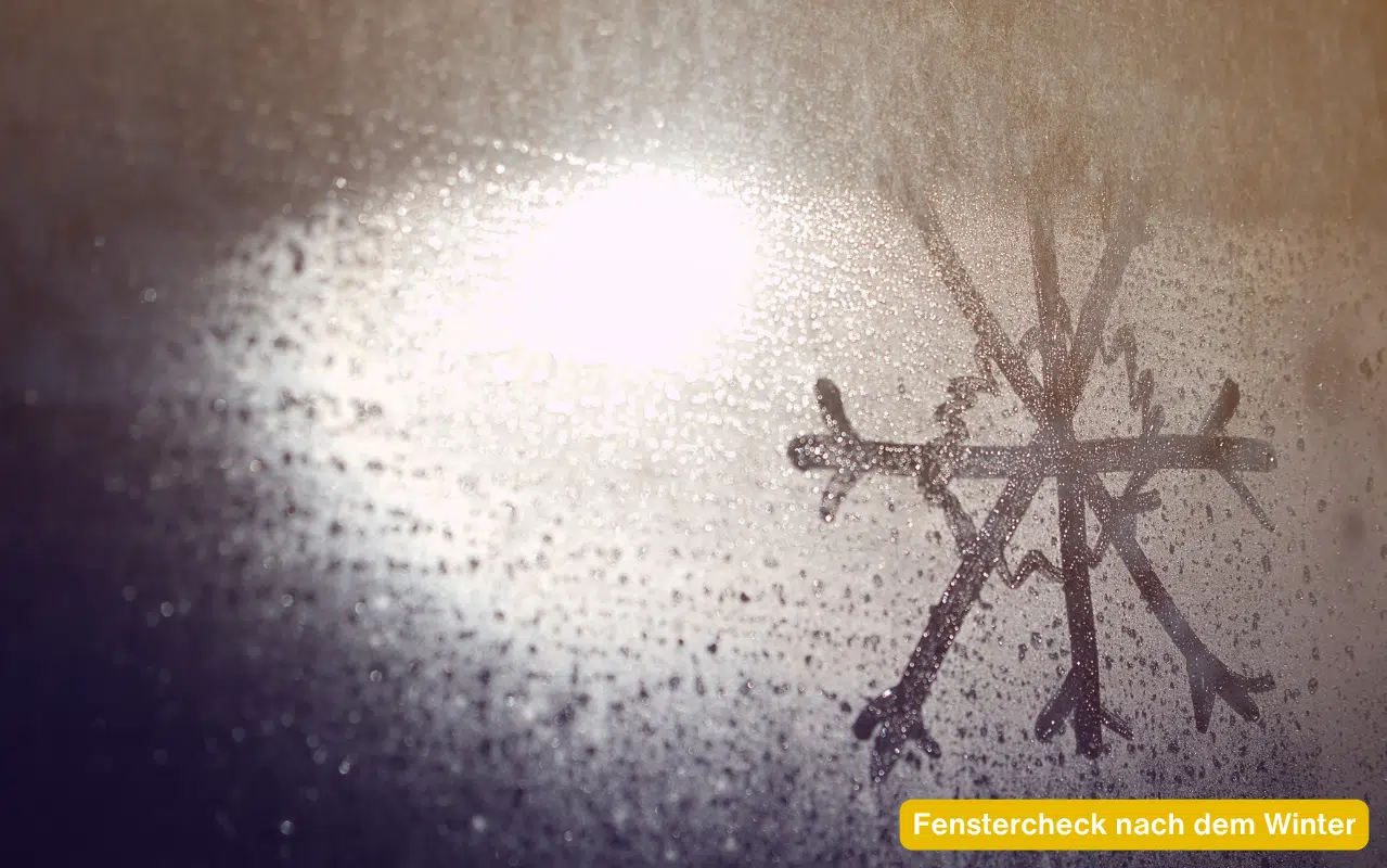 Eisblume in Form einer Schneeflocke am Fenster, Sonnenlicht scheint durch. Symbolbild für den Fenstercheck nach dem Winter in Oberösterreich.