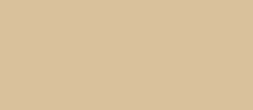 Fensterfarbe RAL 1001 beige