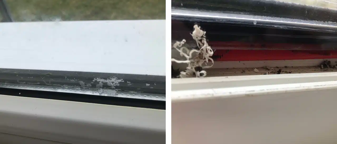 Festverglasung Undicht aufgrund des hohen Gewicht des Glases - Detail
