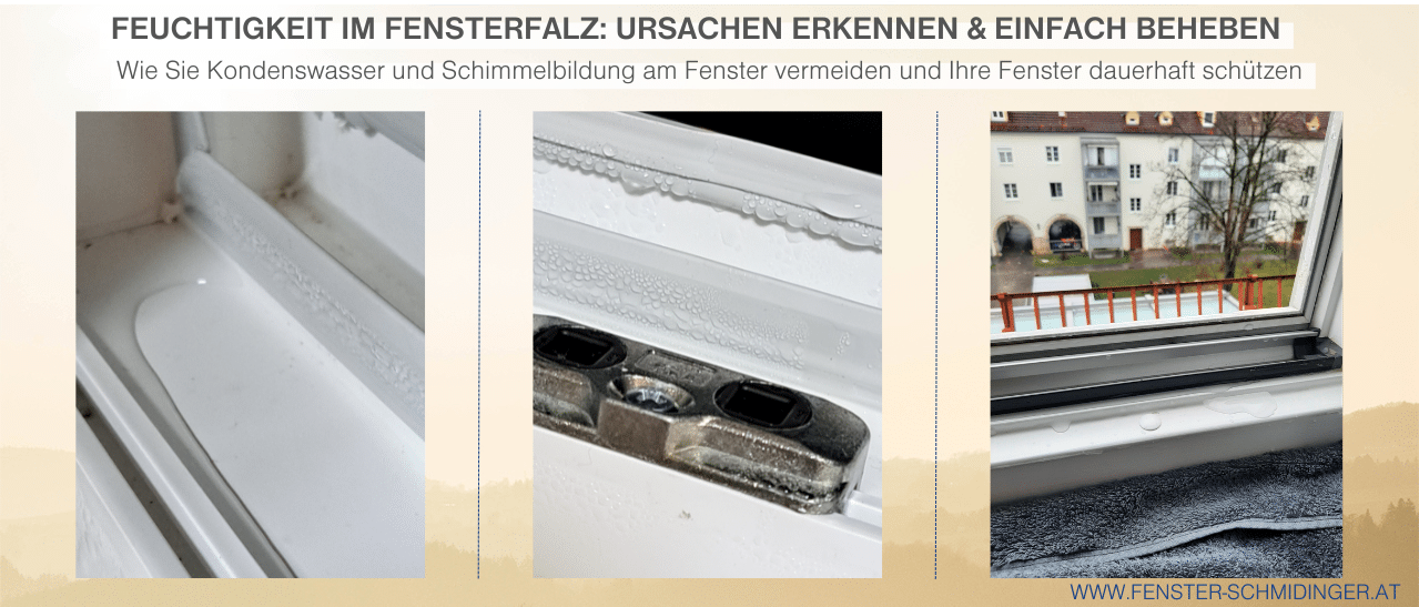 Feuchtigkeit Fensterfalz vermeiden durch Stoßlüften, saubere Dichtungen und rechtzeitiges Austauschen beschädigter Fenster.