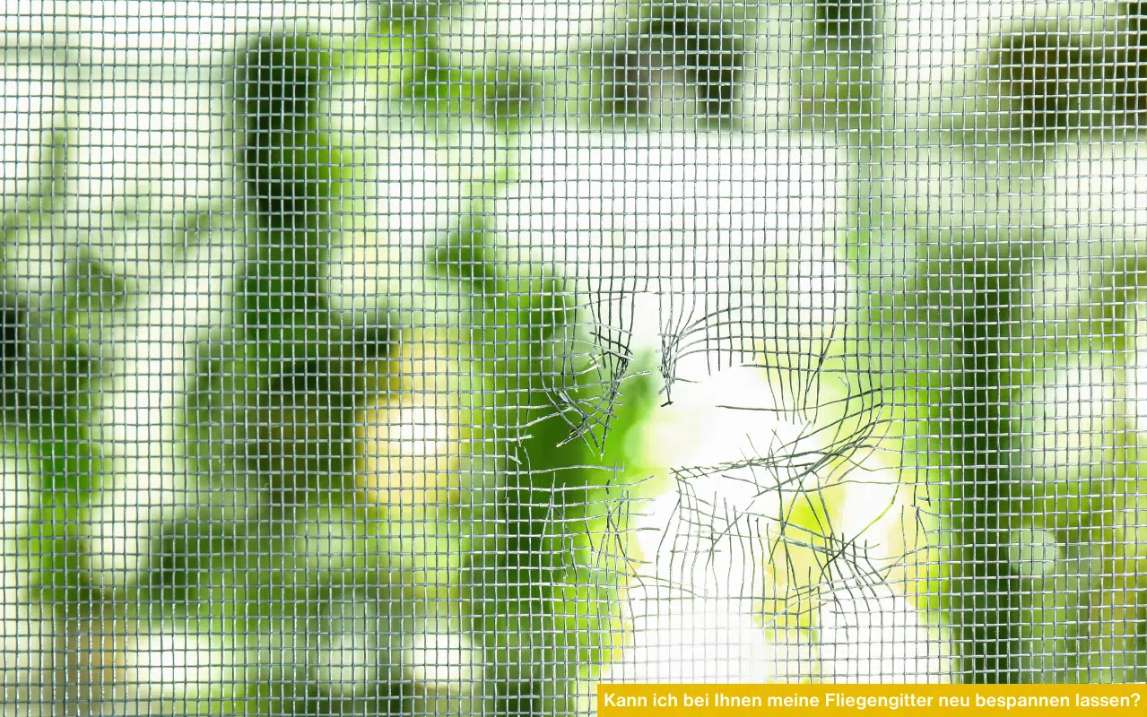 Nahaufnahme eines beschädigten, eingerissenen Insektenschutzgitters vor hellem Hintergrund mit gelbem Infobalken.