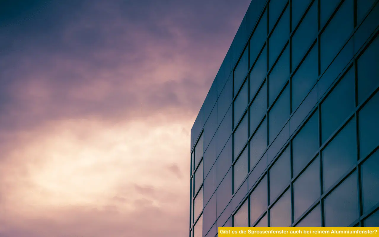 Bei Aluminiumfenstern sind verschiedene Sprossenarten möglich – ob glasteilend, zwischen den Scheiben oder aufgesetzt. Jede Variante bietet individuelle Vorteile in Pflege, Preis und Design, je nach gewünschter Wirkung.