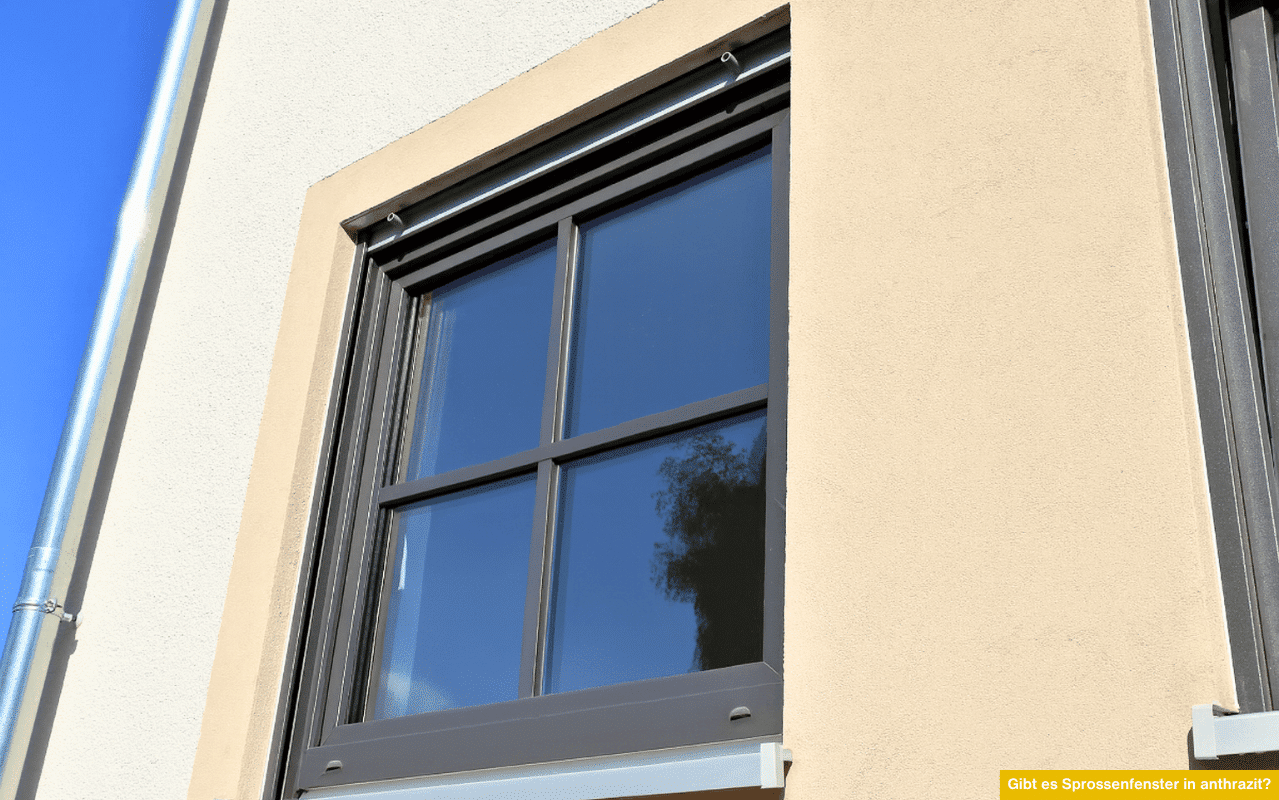 Das Foto zeigt ein anthrazitfarbenes Sprossenfenster in einer hellen Fassade. Die Fensterscheiben spiegeln Bäume und den blauen Himmel.