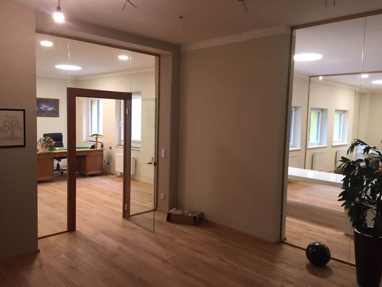 Glastür mit Türstock aus Holz