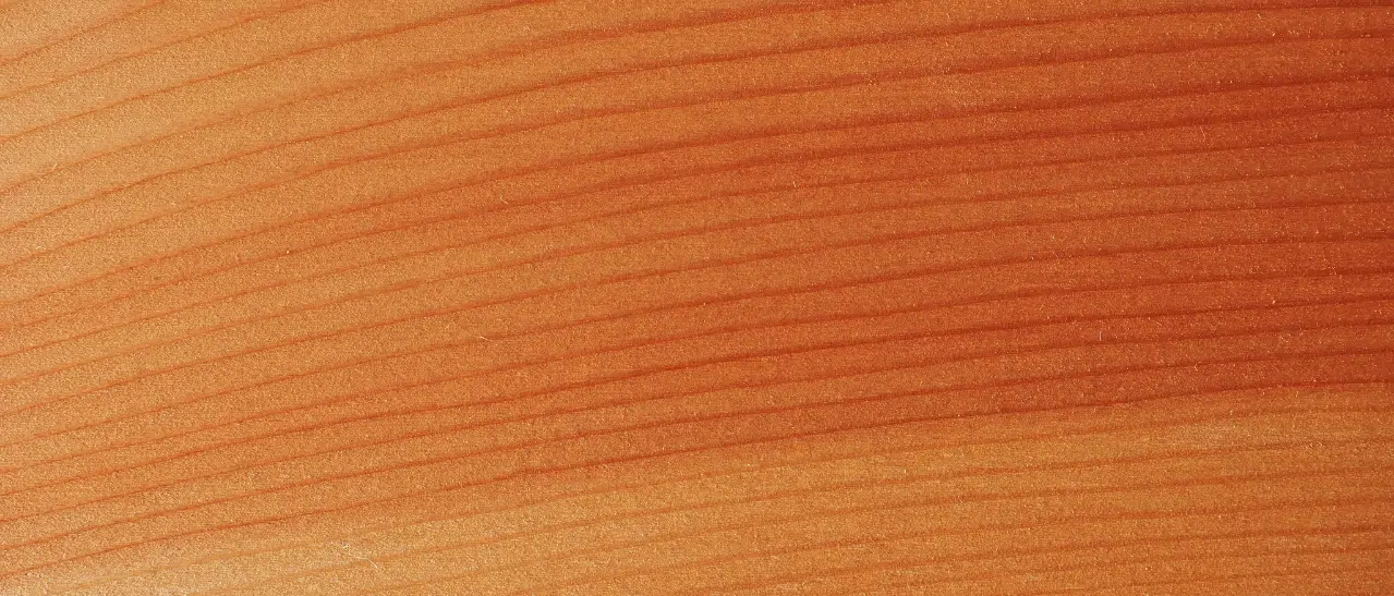 Holzart Lärche