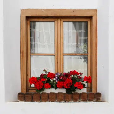 Holzfenster mit Sprossen in traditioneller Hausfassade – dekoriert mit roten Geranien für ländlichen Charme.