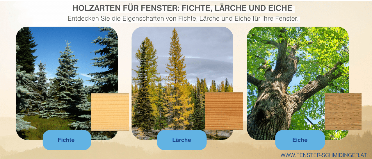 Infografik: Eiche für stark beanspruchte Bereiche, Lärche robust, Fichte preiswert.