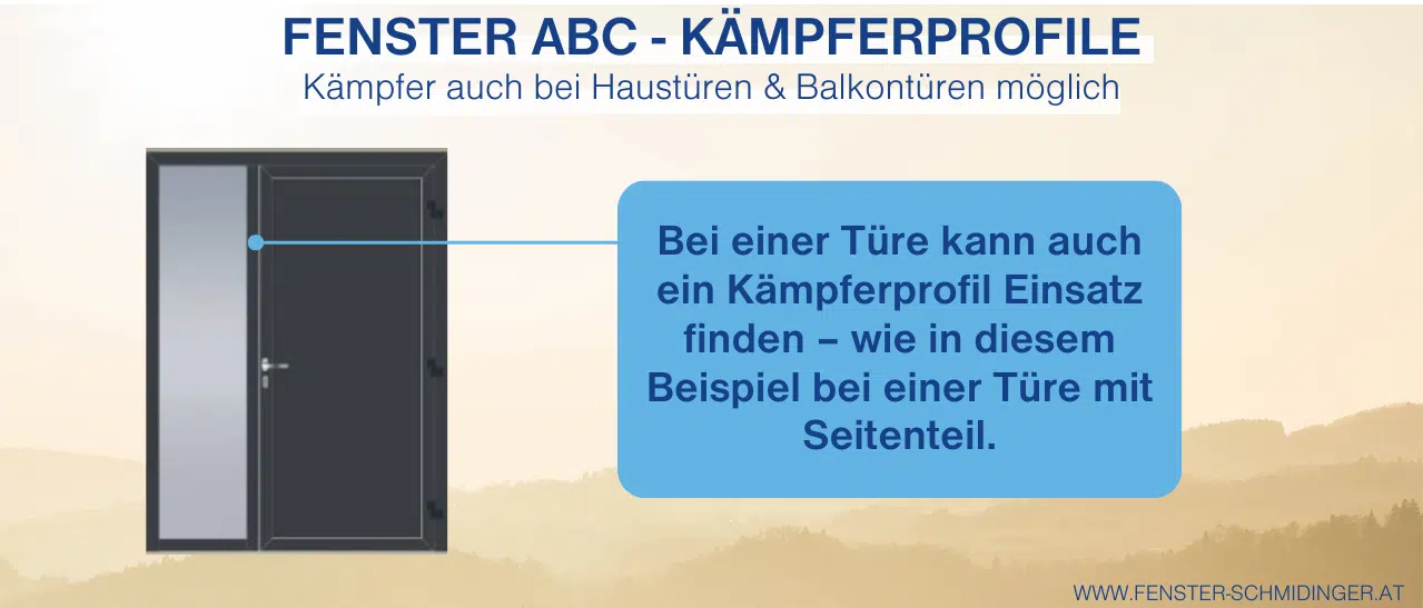 Bei einer Türe kann auch ein Kämpferprofil Einsatz finden – wie in diesem Beispiel bei einer Türe mit Seitenteil.