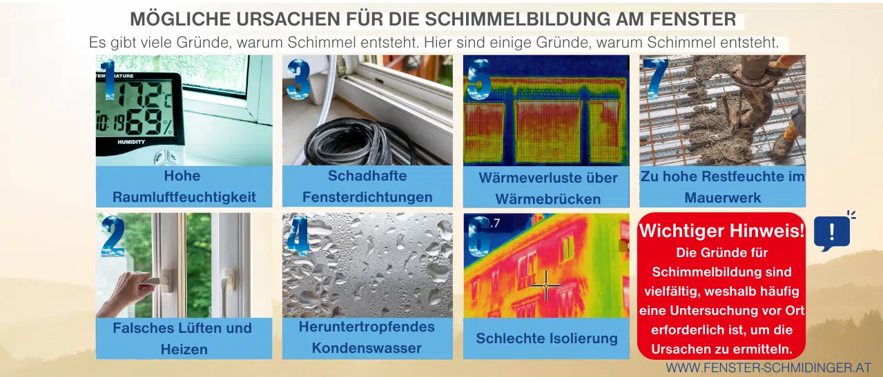 Infografik zeigt Ursachen von Schimmel am Fenster oder im Anschlussbereich zur Mauer wie hohe Feuchte und falsches Lüften.