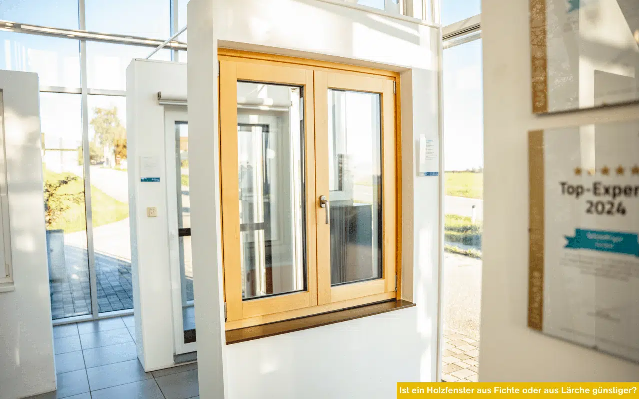 Das Bild zeigt ein Holzfenster aus Fichte in einem hellen Schauraum. Es symbolisiert den Preisvergleich zwischen Fichte und Lärche. Fichtenfenster gelten bei Fenster-Schmidinger als preisgünstigere Alternative mit natürlicher Optik.