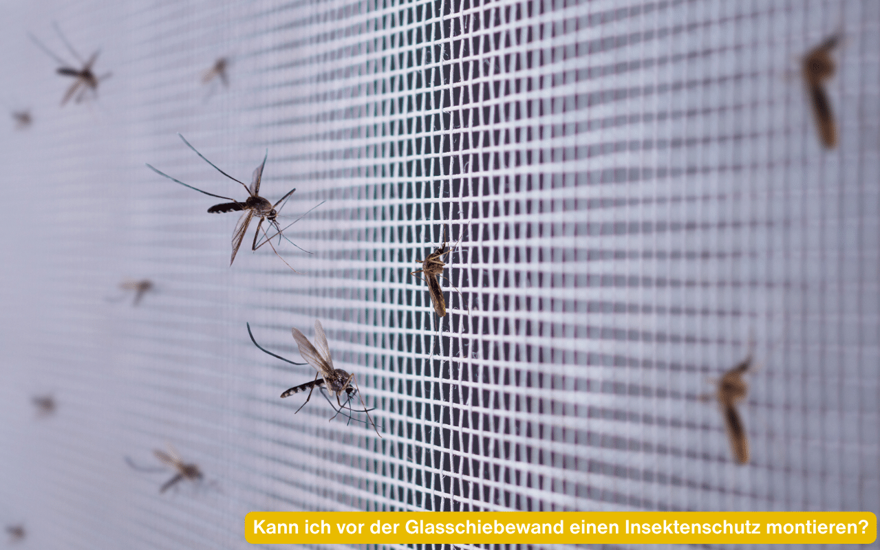 Kann ich vor der Glasschiebewand einen Insektenschutz montieren? Gelsen sitzen außen auf einem Insektenschutzgitter