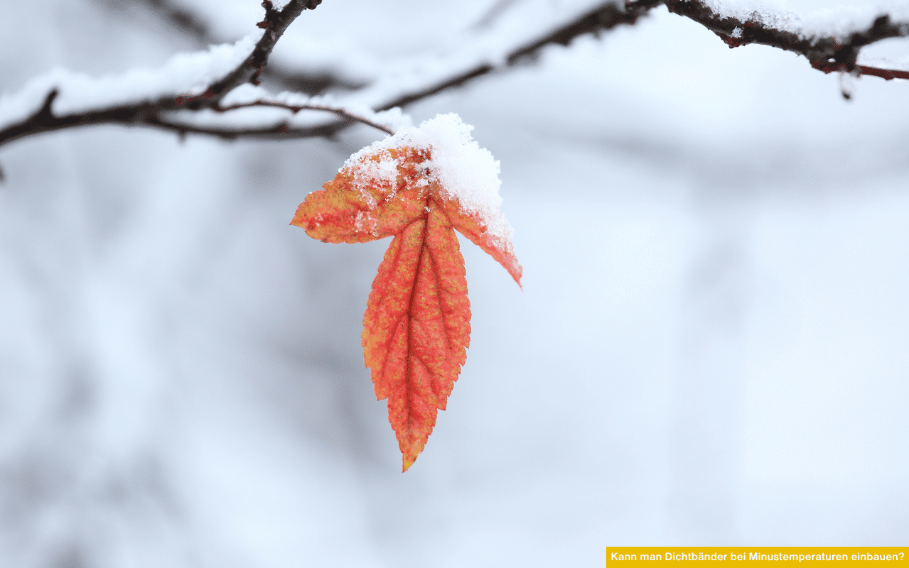 Kann man Dichtbänder bei Minustemperaturen einbauen? Rotes Blatt mit Schnee zeigt Winterbedingungen für den Einsatz von Fenstermontage.