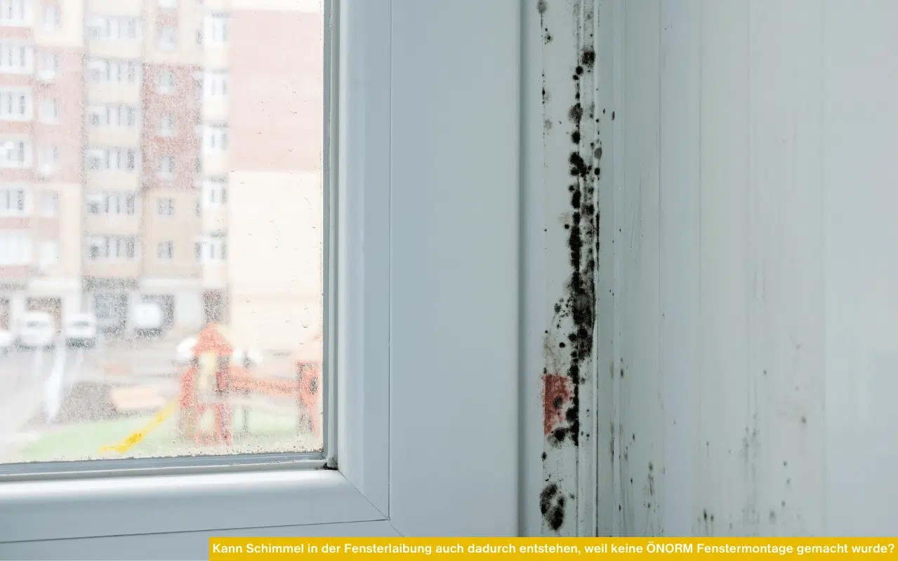 Kann Schimmel in der Fensterlaibung auch dadurch entstehen, weil keine ÖNORM Fenstermontage gemacht wurde? Schimmel an Laibung sichtbar