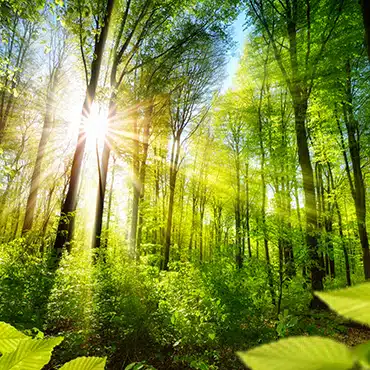 Klimabündnis-Betrieb - Unser Versprechen an die Umwelt