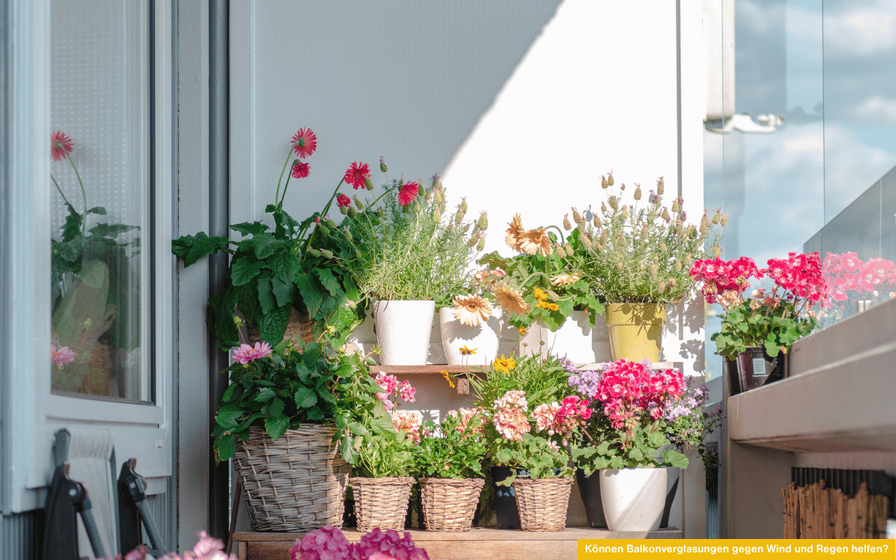Können Balkonverglasungen gegen Wind und Regen helfen? Schutzverglasung auf Balkon mit bunten Blumen und windgeschütztem Sitzplatz.