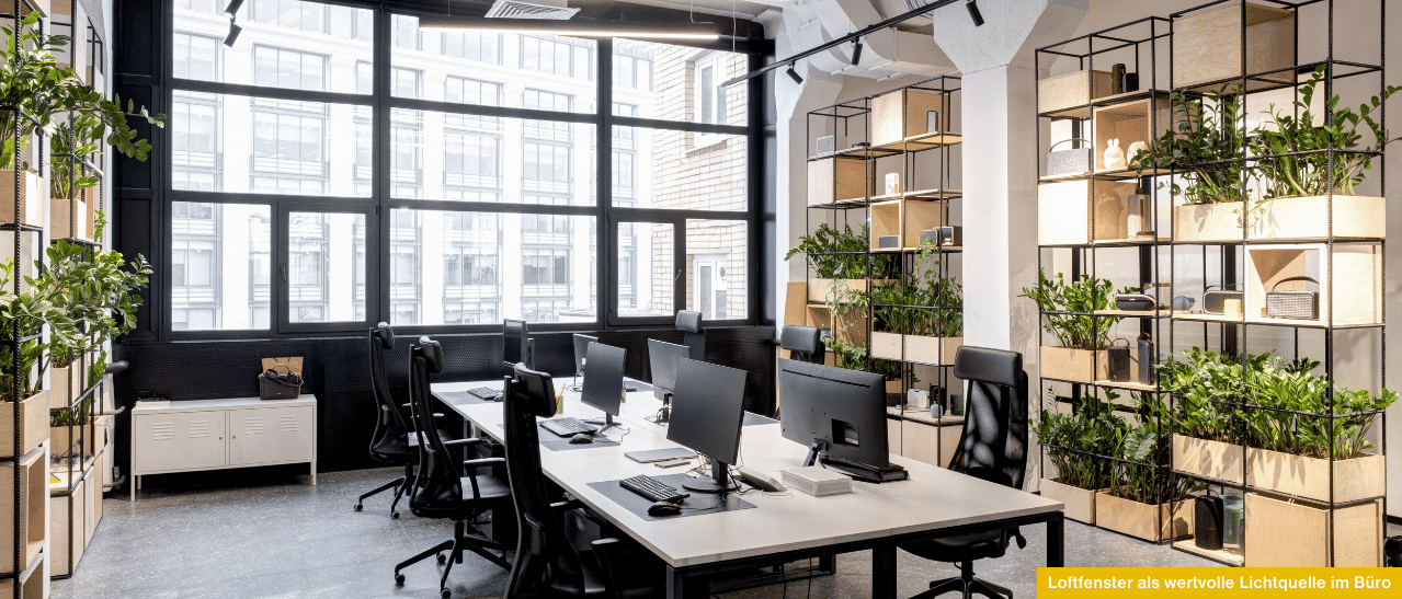 Industriefenster als wertvolle Lichtquelle im Büro steigern Gesundheit, Wohlbefinden und Konzentration durch natürliches Tageslicht.