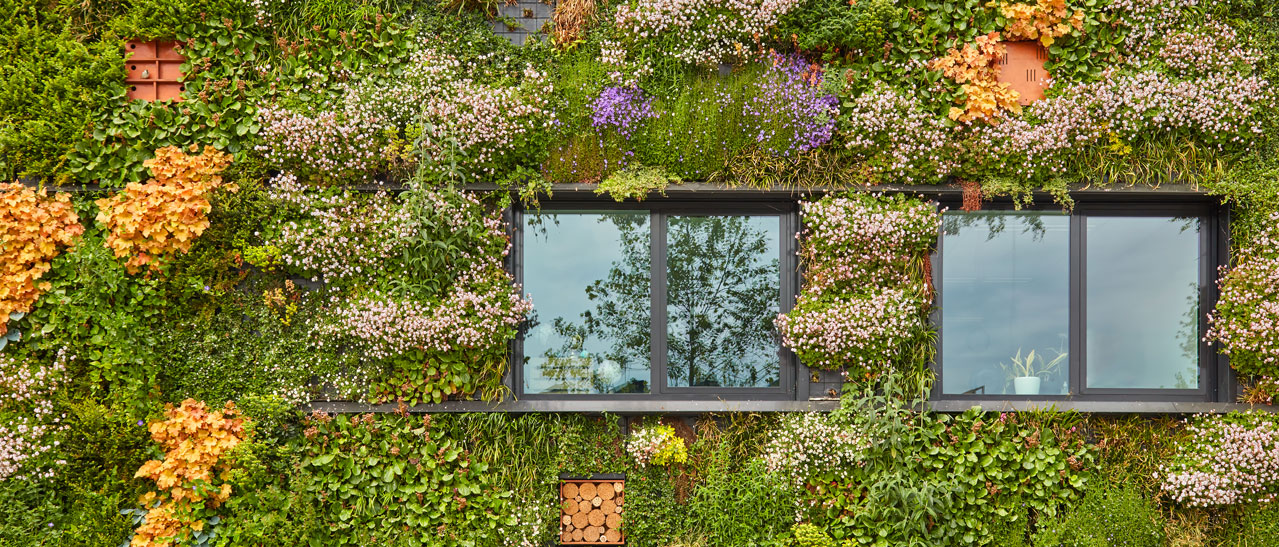 Nachhaltige Fenster Österreich