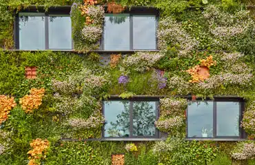 Nachhaltige Fenster mit grün bepflanzter Hausfassade eingebaut