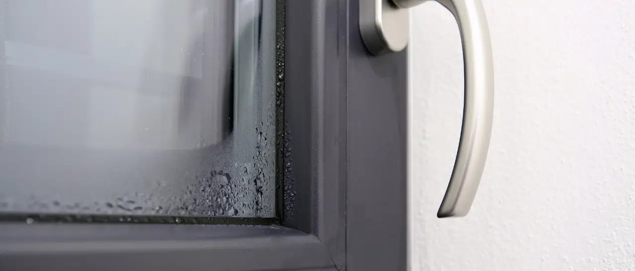 Fenster beschlagen innen: Überprüfen Sie Feuchtigkeit und Temperatur.