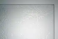 Fenster Ornamentgläser UADI weiß