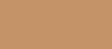RAL 1011 Fensterfarbe braunbeige