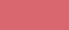 RAL 3017 rose Fenster Farbe