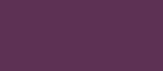 RAL 4007 purpurviolett Fenster und Türenfarben