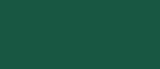 RAL 6005 moosgrün Fenster Farben