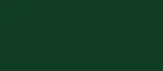 RAL 6009 tannengrün Fenster Farben