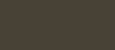 RAL 6014 gelboliv Fenster Farben