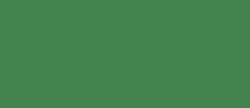RAL 6025 farngrün Fenster Farben