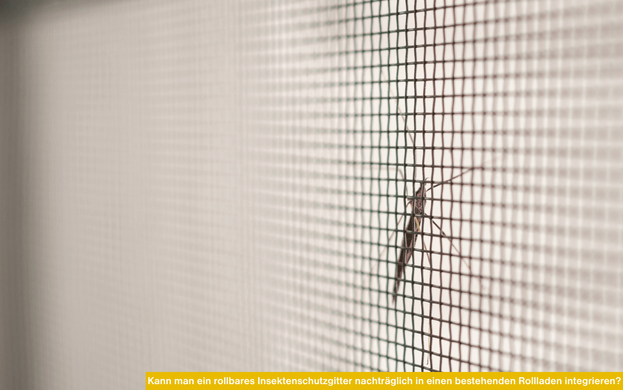 Innenansicht eines Fensters mit integriertem Insektenschutzgitter und Blick auf einen grünen Garten.